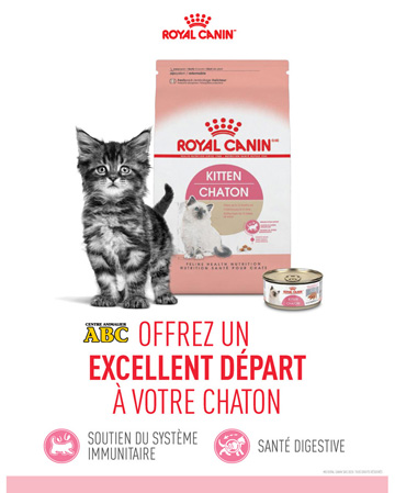 Royal Canin Chaton ABC