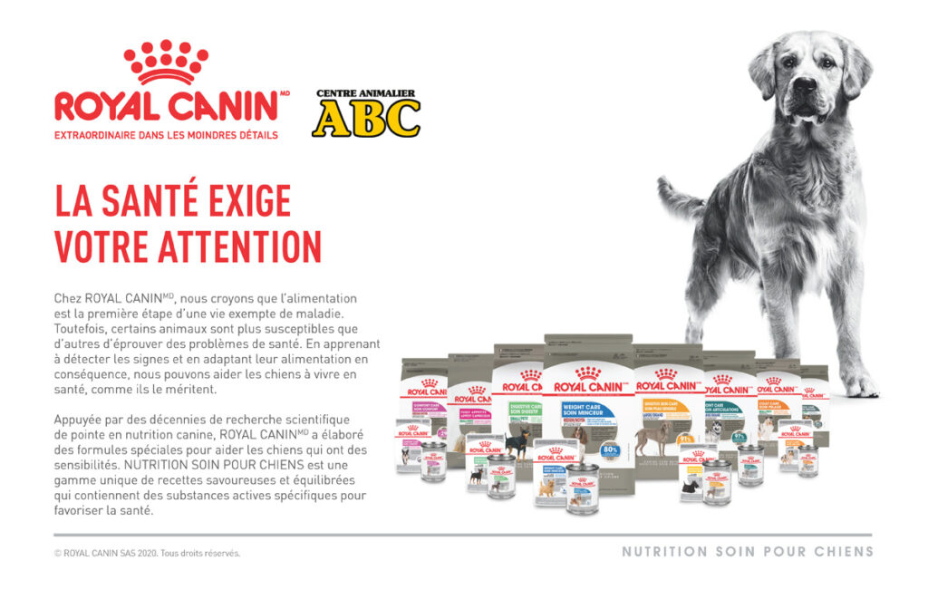 Royal Canin Chien ABC